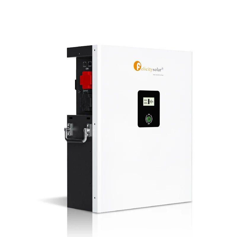 Felicity LPBF 5kw 48v (5 years warranty)
